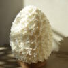 lampe à poser en coquillages