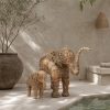 éléphant raphia oli
