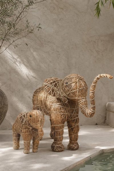 éléphant raphia oli