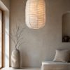 suspension en lin